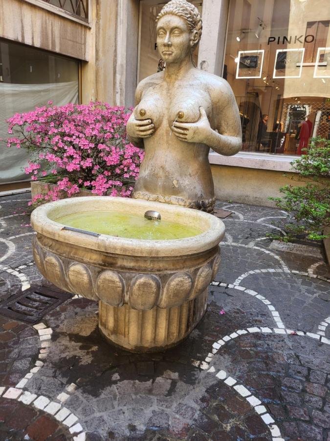 Bed and Breakfast 19 Borgo Cavour Treviso Exteriér fotografie