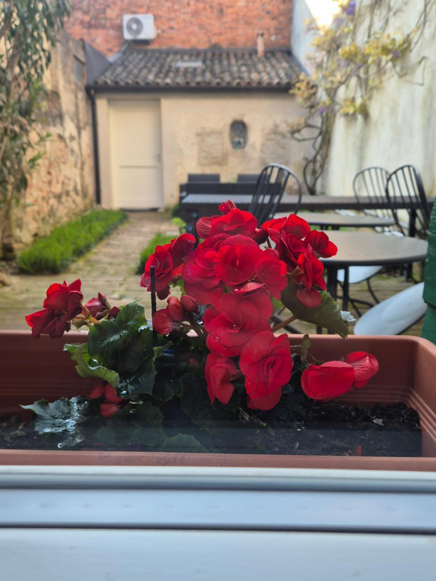 Bed and Breakfast 19 Borgo Cavour Treviso Exteriér fotografie
